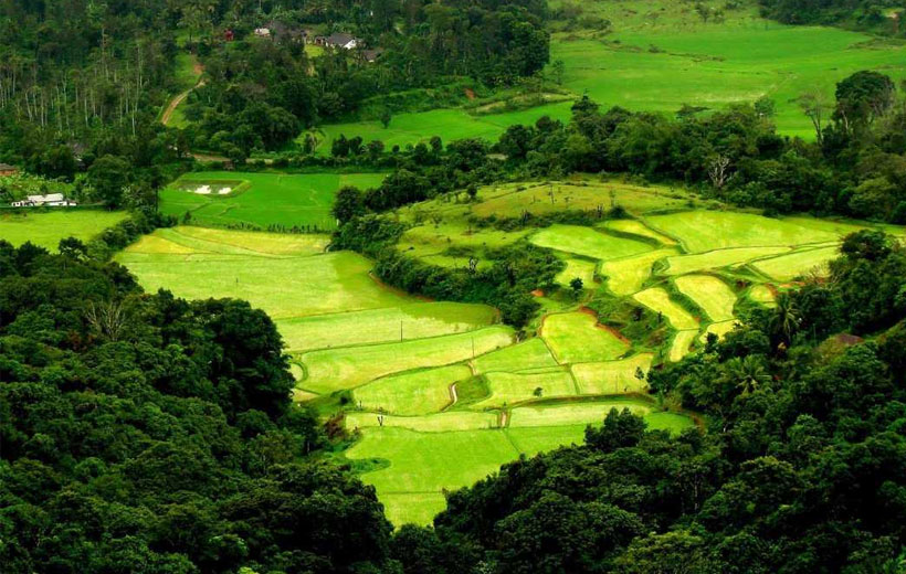 Bangalore, Mysore, Coorg - 4 Night / 5 Days