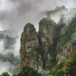 Gallery Thumbnail 4